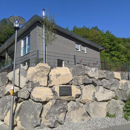 Ferienhaus Schieferterrasse - Waldsee Rieden - Dış mekan fotoğraf